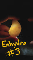 Agate Enhydro Water Filled Agate