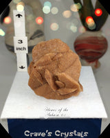 Flower of the Desert Selenite Morocco
