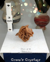 Flower of the Desert Selenite Morocco