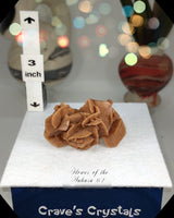 Flower of the Desert Selenite Morocco