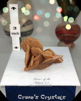 Flower of the Desert Selenite Morocco