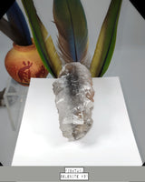 Fishtail Selenite