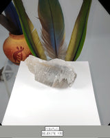 Fishtail Selenite