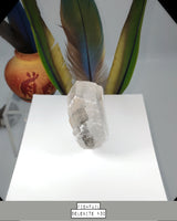 Fishtail Selenite