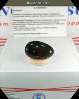 Bloodstone Tumbled Stone