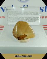 Wildhorse Picture Jasper Tumbled Stone