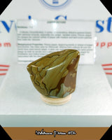 Wildhorse Picture Jasper Tumbled Stone