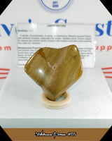 Wildhorse Picture Jasper Tumbled Stone