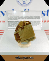 Wildhorse Pictured Jasper Tumbled Stone