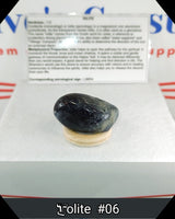 Iolite Tumbled Stone