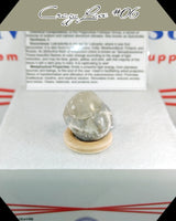 Crazy Lace Agate Tumbled Stone