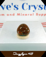 Fancy Jasper Tumbled Stone