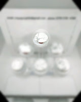 Howlite Carry Stone
