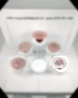 Rose Quartz Carry Stone