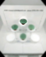 Green Aventurine Carry Stone