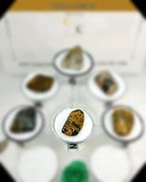 Ocean Jasper Tumbled Stone