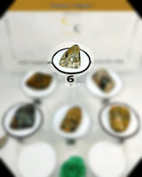 Ocean Jasper Tumbled Stone