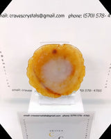 Agate #04:
Beautiful agate slab with quartz center really show case the colors of the outter agate shell. This is a very good value.
96 grams
approx. 3.70 inches by 3.40 inches