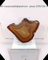 Agate #04:
Beautiful agate slab with quartz center really show case the colors of the outter agate shell. This is a very good value.
96 grams
approx. 3.70 inches by 3.40 inches