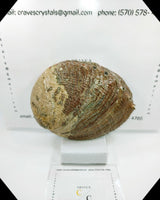 Sage Bowl