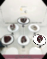 Pink tourmaline in Quartz tumbled Stone