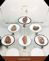 Leopardskin Jasper Tumbled Stone