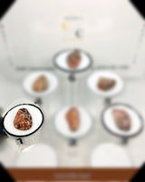 Leopardskin Jasper Tumbled Stone