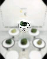 Prehnite (A)(Lg) Type 2 Tumbled Stone