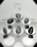Orthocera Small