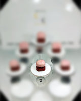 Rhodonite (Lg)(AA) Type 4 Hand Polished Stone