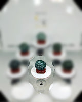 Green Moss Agate (Lg) Type 2 Tumbled Stone
