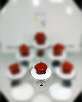 Red Jasper (Lg)(A) Type 3 Tumbled Stone