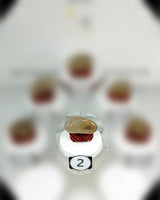 Rutilated Quartz (A)(Med-Lg) Type 3 Tumbled Stone