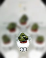 Nephrite Jade (Lg-XL) Type 2 Tumbled Stone