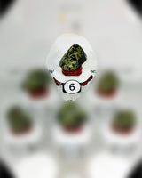 Nephrite Jade (Lg-XL) Type 2 Tumbled Stone
