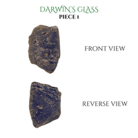 
              Darwin's Glass Tektite
            