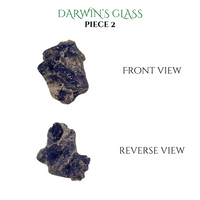 
              Darwin's Glass Tektite
            