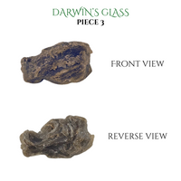 
              Darwin's Glass Tektite
            