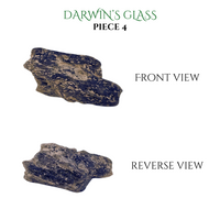 
              Darwin's Glass Tektite
            