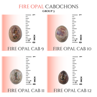 
              Fire Opals cabs
            