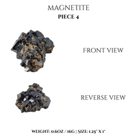 
              Magnetite
            