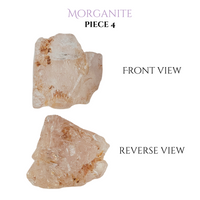 
              Morganite
            