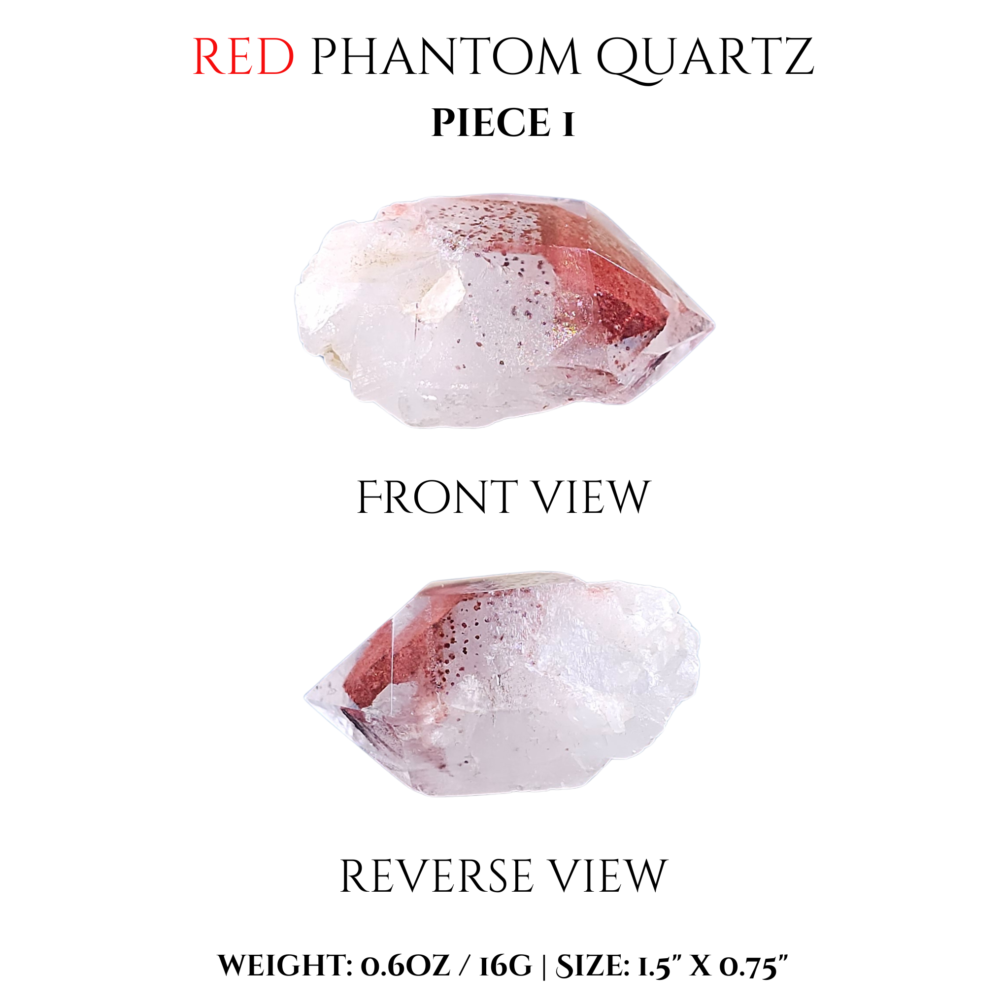 A.Crystall var × A.Red Phantom Red & Blue Phantom Quartz| Crave's Crystals