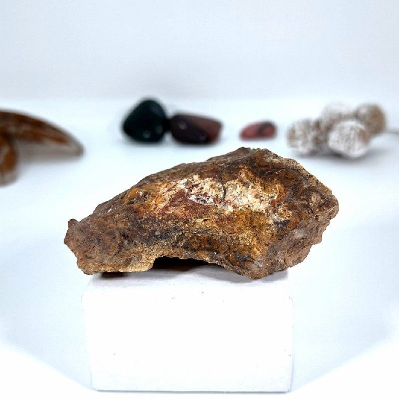 Dino Bone Fragment