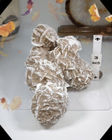 
              Large desert rose formation
            