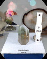 
              Green Chlorite Phantom Quartz
            