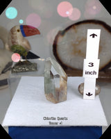 
              Green Chlorite Phantom Quartz
            