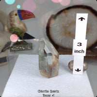 Green Chlorite Phantom Quartz