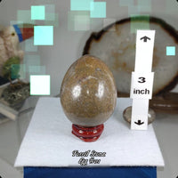 Fossil Rock Egg