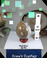 
              Fossil Rock Egg
            